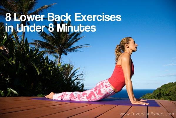 8lowerbackexercises